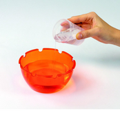 Stranger Things The Upside Down Terrarium