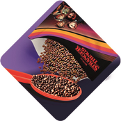 Stranger Things The Upside Down Terrarium