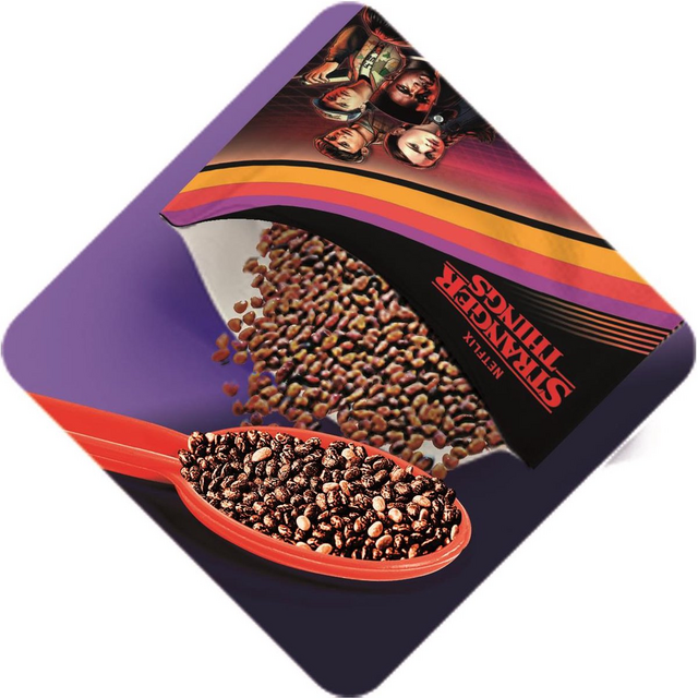 Stranger Things The Upside Down Terrarium