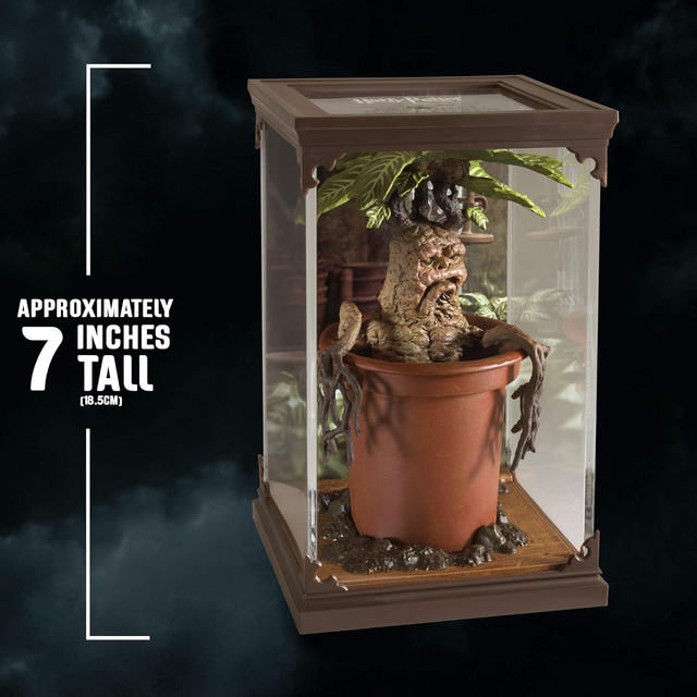 Harry Potter Magical Creatures Statue Mandrake 18,5cm