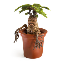 Harry Potter Magical Creatures Statue Mandrake 18,5cm