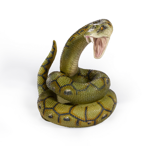 Harry Potter Magical Creatures Nagini