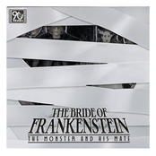 Universal Monsters 2-Pack Bride of Frankenstein 90th Anniversary The Monster & His Mate (B&W) 18cm