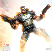 Marvel Legends Series Marvel Rivals The Punisher Action Figure 15cm