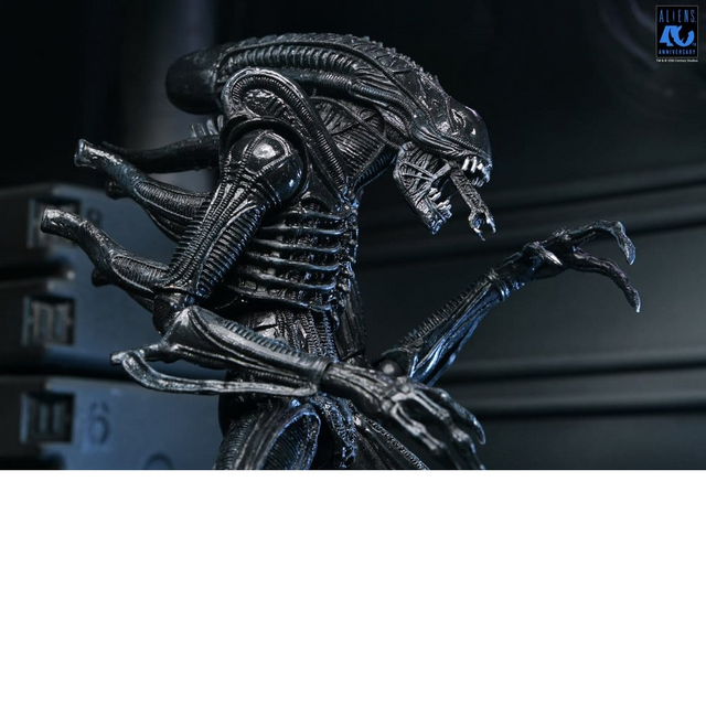 Aliens Ultimate Xenomorph Warrior Black Action Figure 23cm