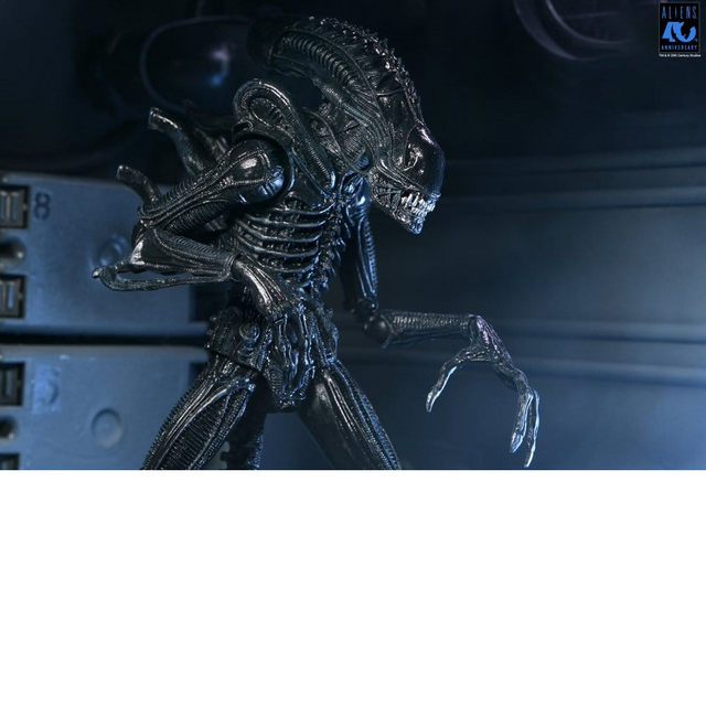 Aliens Ultimate Xenomorph Warrior Black Action Figure 23cm