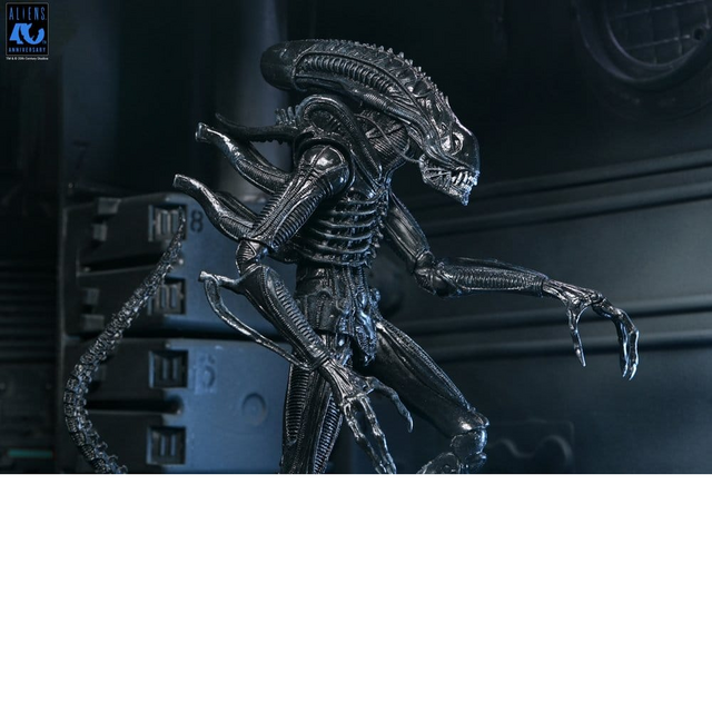Aliens Ultimate Xenomorph Warrior Black Action Figure 23cm