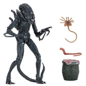Aliens Ultimate Xenomorph Warrior Blue Action Figure 23cm