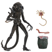 Aliens Ultimate Xenomorph Warrior Brown Action Figure 23cm