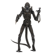 Aliens Ultimate Xenomorph Warrior Brown Action Figure 23cm