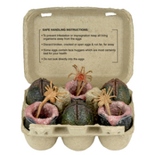 Aliens Hadley's Hope Cage Free Eggs - Alien Eggs