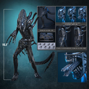 Alien Movie Masterpiece Action Figure 1/6 Alien Warrior 39cm