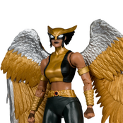 Collector Edition Hawkgirl (Kendra Saunders) Action Figure 18cm