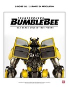 Transformers Bumblebee DLX Action Figure 1/6 Bumblebee 20cm