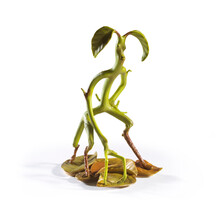 Fantastic Beasts Magical Creatures Statue Bowtruckle 18cm