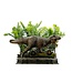 Iron Studios Jurassic Park Icons Statue T-Rex Breakout Set A 17 cm