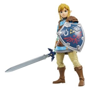 The Legend of Zelda Link