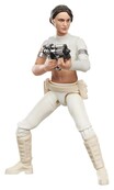 Star Wars Episode II Vintage Collection Padmé Amidala (Geonosis) Action Figure 10cm