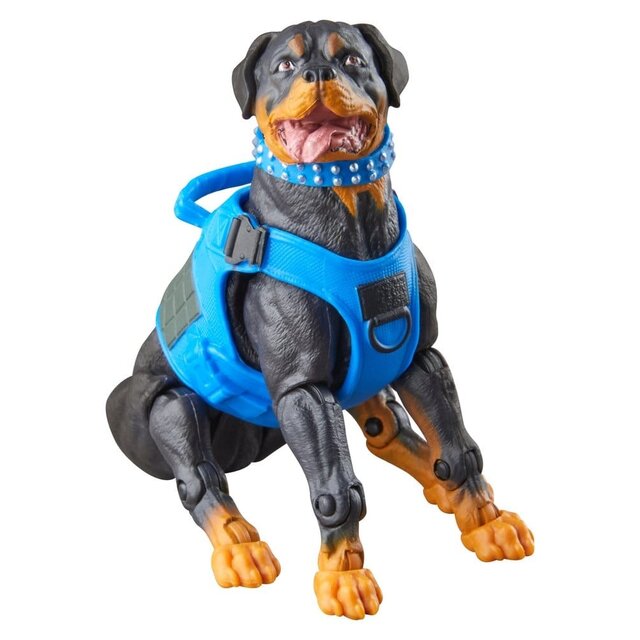 G.I. Joe Classified Series 3-Pack #220 Mad Marauders: Footloose & Mutt & Junkyard Action Figures 15cm