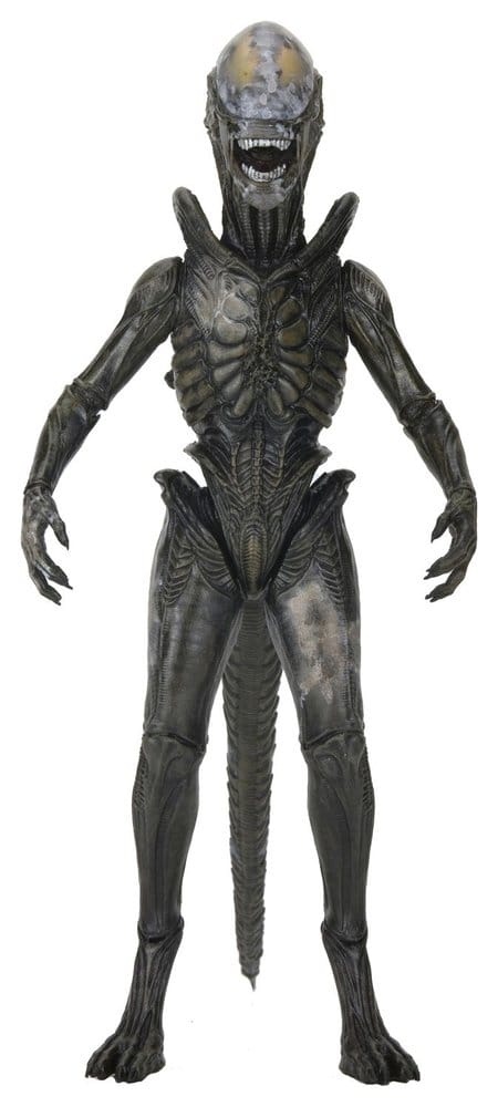 NECA Alien: Earth Ultimate Wendy's Xenomorph afbeelding