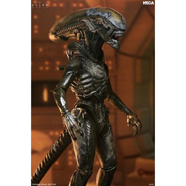 Alien: Earth Ultimate Wendy's Xenomorph Action Figure 18cm