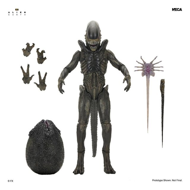 Alien: Earth Ultimate Xenomorph Action Figure 18cm