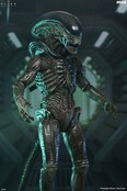 Alien: Earth Ultimate Xenomorph Action Figure 18cm
