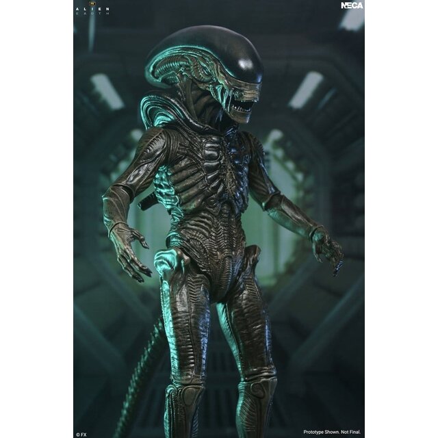 Alien: Earth Ultimate Xenomorph Action Figure 18cm
