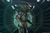 Alien: Earth Ultimate Xenomorph Action Figure 18cm