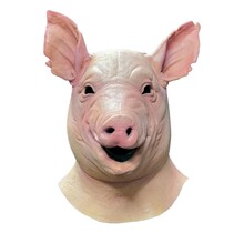 Spiral Mask Pig