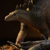 The Lost World: Jurassic Park Icons Statue Stegosaurus 18cm