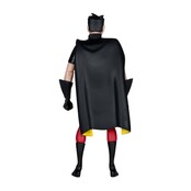 Batman: The Animated Series Robin (Rene Montoya Build-a-Figure) Action Figure 15cm