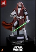 Star Wars: The Clone Wars Television Masterpiece Saesee Tiin (Clone Armor) (Hot Toys Exclusive) Action Figure 32cm