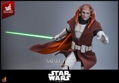Star Wars: The Clone Wars Television Masterpiece Saesee Tiin (Clone Armor) (Hot Toys Exclusive) Action Figure 32cm