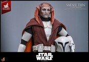 Star Wars: The Clone Wars Television Masterpiece Saesee Tiin (Clone Armor) (Hot Toys Exclusive) Action Figure 32cm