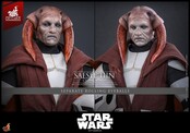 Star Wars: The Clone Wars Television Masterpiece Saesee Tiin (Clone Armor) (Hot Toys Exclusive) Action Figure 32cm
