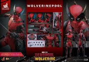 Deadpool & Wolverine Movie Masterpiece Action Figure 1/6 Wolverinepool Hot Toys Exclusive 31cm