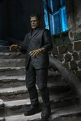 Universal Monsters Ultimate Frankenstein's Monster (Color) Action Figure 18cm