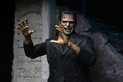 Universal Monsters Ultimate Frankenstein's Monster (Color) Action Figure 18cm