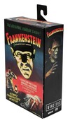Universal Monsters Ultimate Frankenstein's Monster (Color) Action Figure 18cm