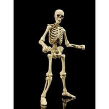Epic  H.A.C.K.S. Skeleton Blank Classic Bone
