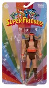 DC Retro Super Friends Wave 17 Action Figures (4)