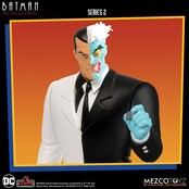 Batman: The Animated Series 5 Points Action Figures Deluxe Box Set Series 2