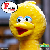 Sesame Street Fuzzy Big Bird Flocked ReAction Figure 10cm