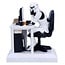 Nemesis Now Original Stormtrooper Figure Slave to the Wage 14 cm