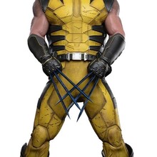 Wolverine Video Game Masterpiece