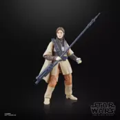 Star Wars The Black Series Luke Skywalker (Imperial Guard) & Princess Leia Organa (Boushh) 15cm