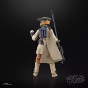 Star Wars The Black Series Luke Skywalker (Imperial Guard) & Princess Leia Organa (Boushh) 15cm