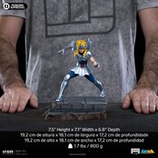Saint Seiya Scale Statue 1/10 Cygnus Hyoga 19cm