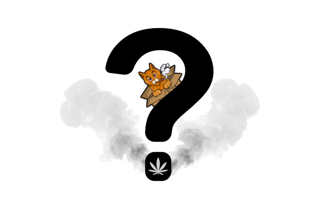 Stonedoos Mega Stoner Box